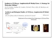 amphotericin B - Group Renaud