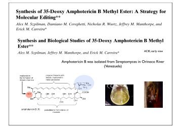 amphotericin B - Group Renaud