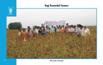 Ragi Rewarded Farmers