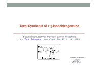 p2013_08 Isoschizogamine - Group Renaud