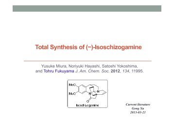 p2013_08 Isoschizogamine - Group Renaud