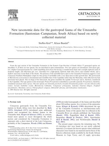 New taxonomic data for the gastropod fauna of the ... - Paleoliste.de