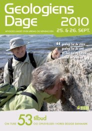Geologiens Dage 2010