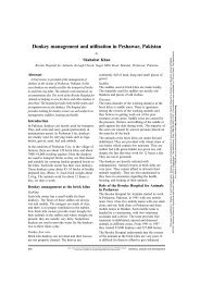 Donkey management and utilisation in Peshawar, Pakistan