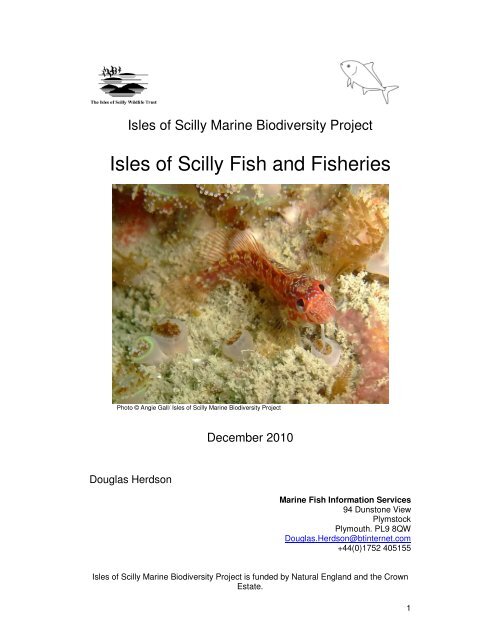 Isles of Scilly Fish and Fisheries - Cornwall Wildlife Trust