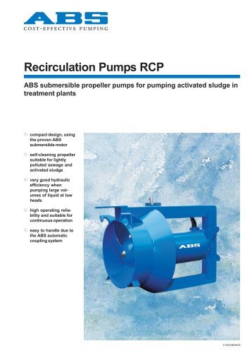 Recirculation Pumps RCP