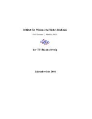 Jahresbericht 2001 - Institut fÃƒÂ¼r Wissenschaftliches Rechnen