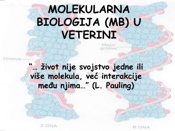 MOLEKULARNA BIOLOGIJA – PRIJELOMNA OTKRIĆA