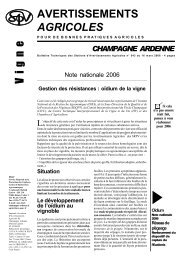 avertissements agricoles vigne n°543 - Champagne info
