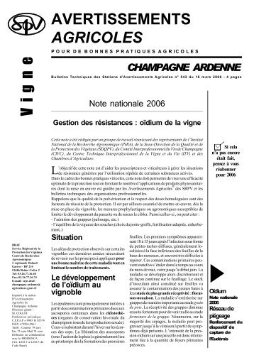 avertissements agricoles vigne n°543 - Champagne info