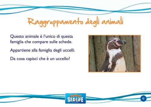 Classificazione delle specie