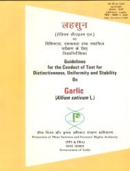 Garlic - Protection of Plant Varieties & Farmers