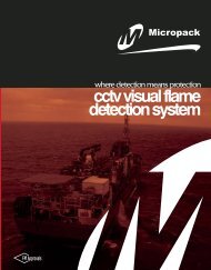 cctv visual flame detection system - Fire-Professionals.Com