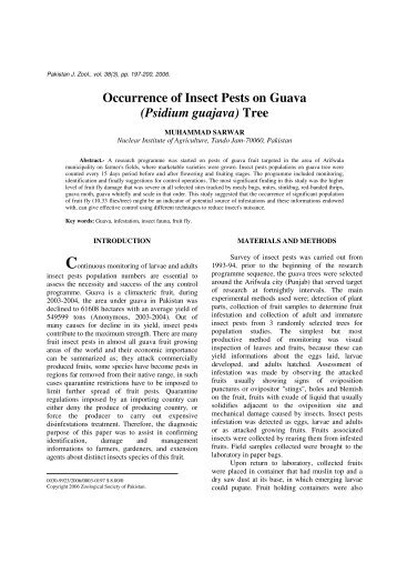 Occurrence of Insect Pests on Guava (Psidium guajava ... - Zsp.com.pk