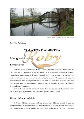 COLATORE ADDETTA - Fipsasbg.it