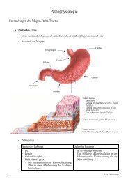 Vorlesung Pathophysiologie