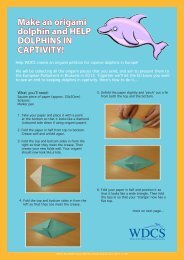 Make an origami dolphin and HELP DOLPHINS IN CAPTIVITY!