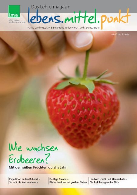 Wie Wachsen Erdbeeren Information Medien Agrar Ev