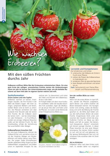 Wie wachsen Erdbeeren? - information.medien.agrar eV
