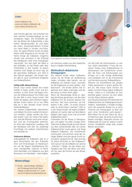 Wie wachsen Erdbeeren? - information.medien.agrar eV