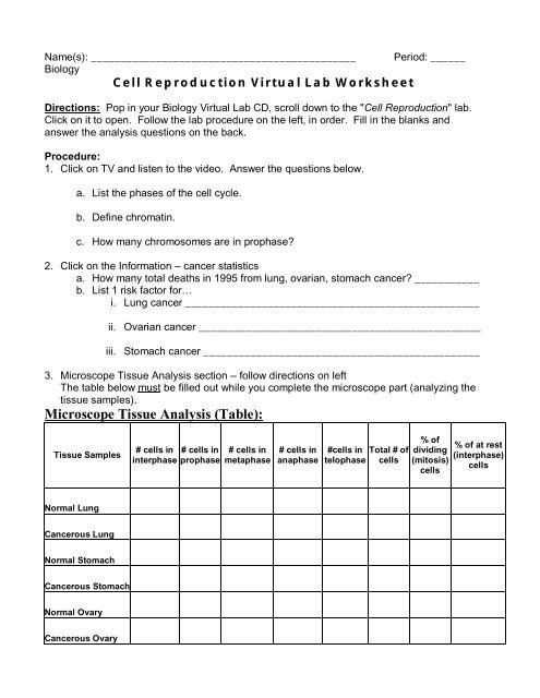 virtual lab the cell cycle and cancer