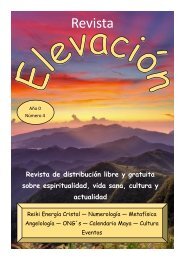 Revista Elevación Nº4, Febrero 2015.