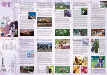 Institutional Brochure - Parco Nazionale Dolomiti Bellunesi