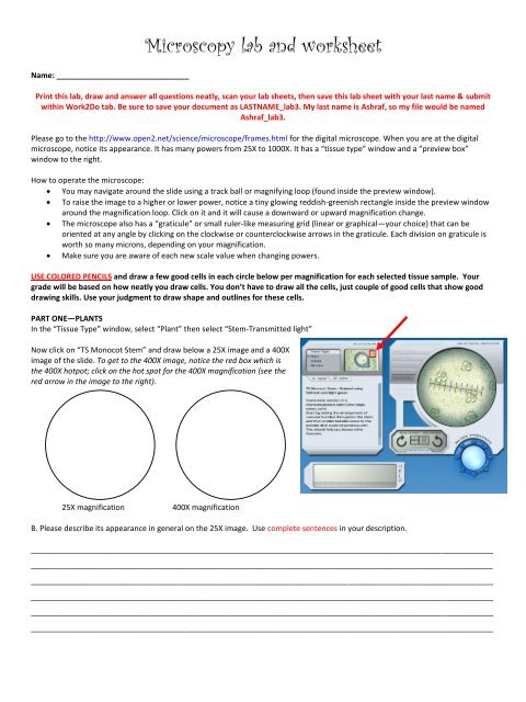 How to use a microscope worksheet