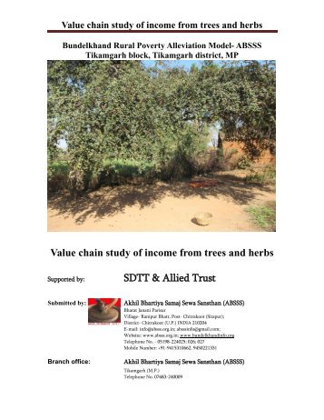 Value chain study of income from trees and herbs - ABSSS
