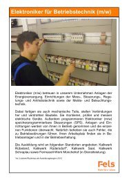 Elektroniker für Betriebstechnik - Stand 01.06.2012 - Fels