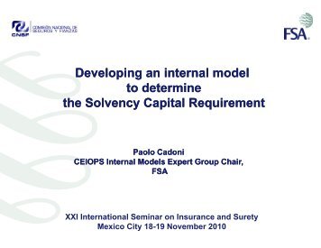 Developing an internal model to determine the Solvency ... - CNSF