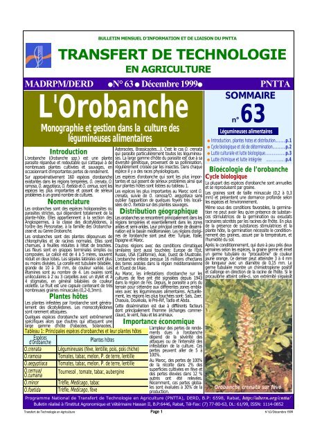 L'Orobanche - Transfert de Technologie en Agriculture