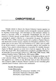 CHIROPTERELE