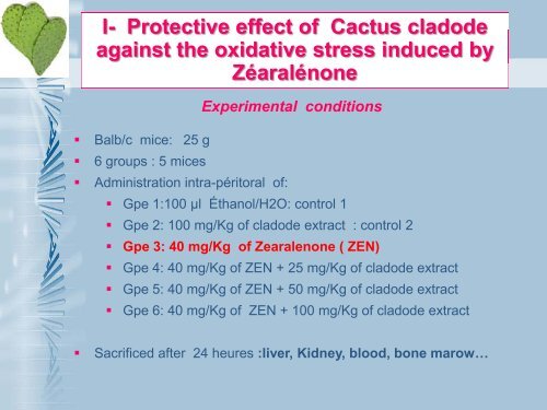 Preventive role of Cactus (Opuntia ficus-indica) cladodes on the ...