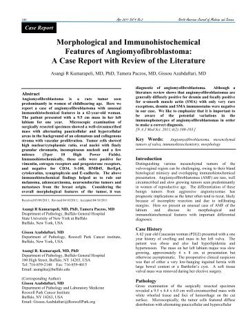 Morphological and Immunohistochemical Features - NAJMS: The ...