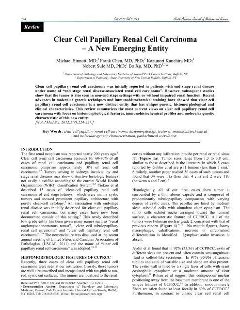 Clear Cell Papillary Renal Cell Carcinoma - NAJMS: The North ...