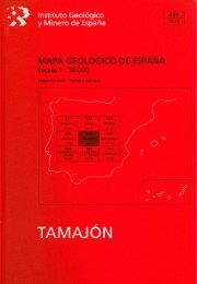 Tamajón. - Instituto Geológico y Minero de España