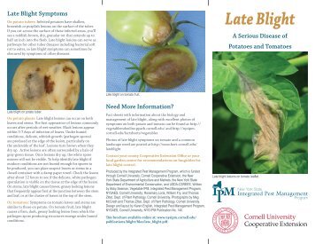 Late Blight - New York State Integrated Pest Management Program ...