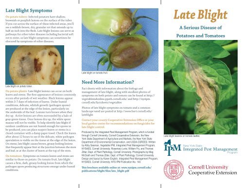 Late Blight - New York State Integrated Pest Management Program ...