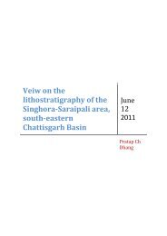 of the Singhora-Saraipali area, south-eastern Chattisgarh Basin - fieldi