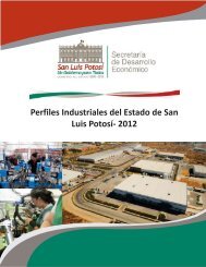 2- Anteportada - Canacintra San Luis PotosÃ­