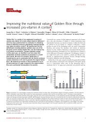 Nature Biotechnology 2005 - The Golden Rice Project