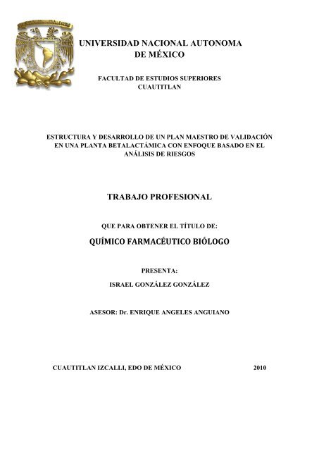universidad nacional autonoma de mÃ©xico trabajo profesional ...