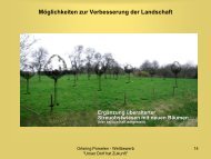 Kreiswettbewerb Unser Dorf hat Zukunft 2008 - Porselen