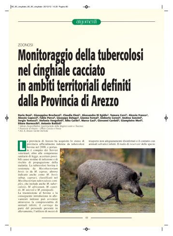 Monitoraggio della tubercolosi del cinghiale cacciato in ... - SIVeMP