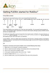 Getting FLEXlm started for RokDocÂ® - Ikon Science