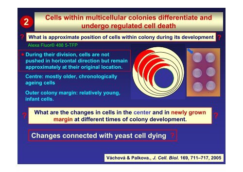 colonies