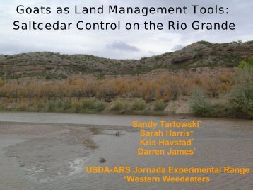 Update on Saltcedar management with goats - NMSU Weed ...