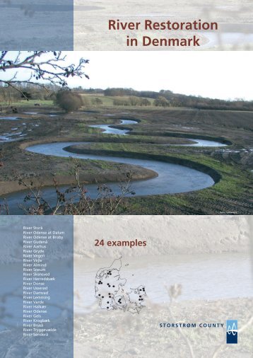 River Restoration in Denmark