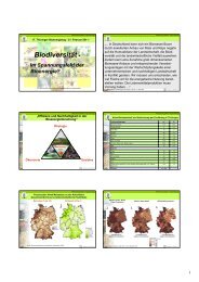 BiodiversitÃ¤t - Im Spannungsfeld der Bioenergie? - Biobeth